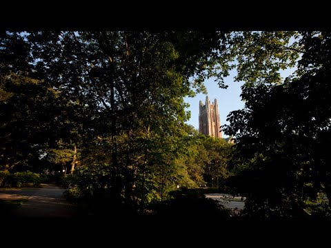 Wideo: Czy Wellesley College ma program pielęgniarski?