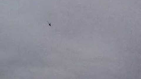 T-Rex 450 First Loops