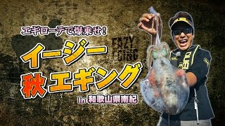 エギローテで秋イカ爆乗せ！イージー秋エギングin和歌山県南紀