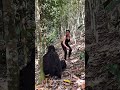 TikTok Status Videos I Viral I Trending Comedy Funny Video Short2025 