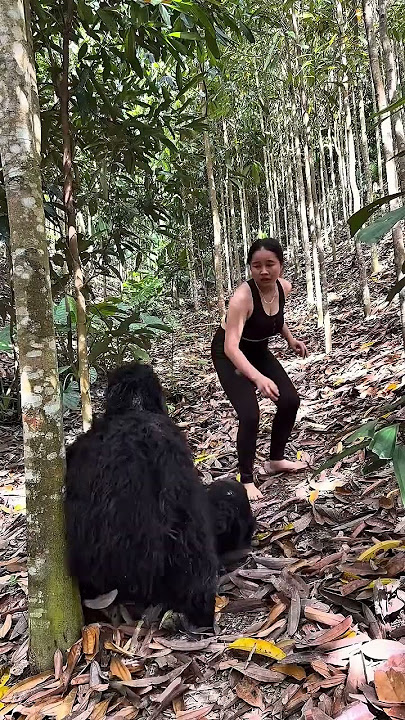 TikTok Status Videos I Viral I Trending | Comedy | Funny Video #short2025