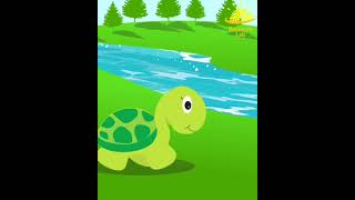 The Rabbit and the Tortoise story in Urdu #hindi #fact #urdu #shorts