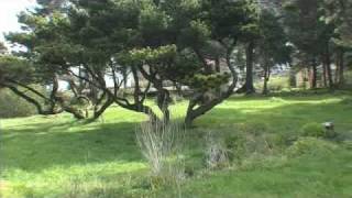 3 Beautiful Oceanview Lots Yachats Or Tour