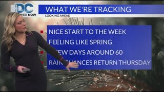 Monday, Feb. 24th, 2025: Spring-feel for the last week of February