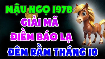 GIẢI MÃ ĐIỀM BÁO LẠ Đúng Đêm Rằm Tháng 10 Âm 2025 Của Tuổi Mậu Ngọ 1978!