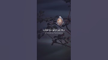 آية ٧٣ من سورة الزمر بصوت القارئ شريف مصطفى | تلاوة خاشعة