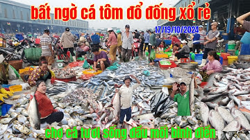 thứ7 cá tôm cua gẹ xổ rẻ 25k.30k.chợ đầu mối bình điền