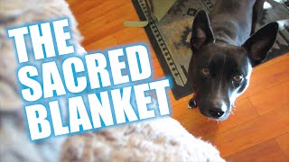 THE SACRED BLANKET
