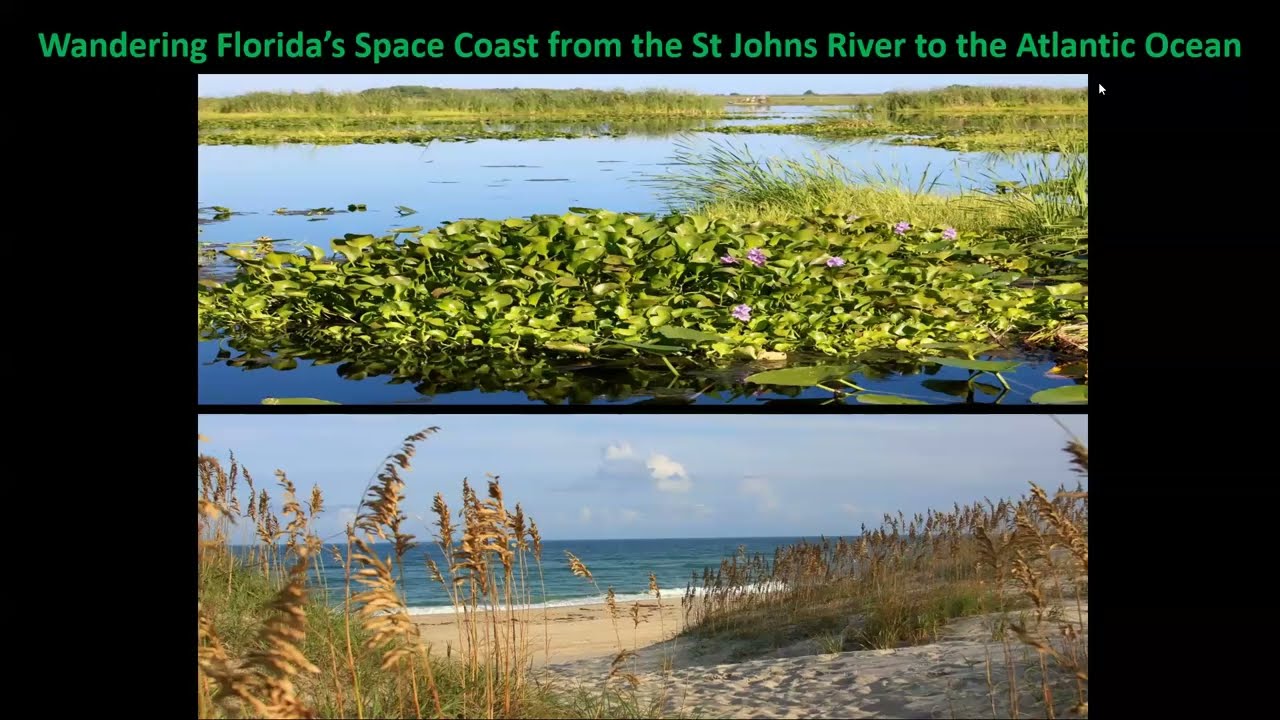 Wandering Florida's Space Coast - Conradina FNPS Meeting February 2026