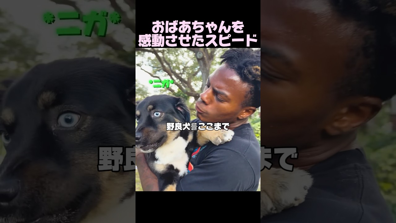 見過ごせなかったスピード💔🥺