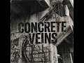 Concrete Veins #newmusic #remix #music #countrymusic #singersongwriter #song #lyrics #playlist