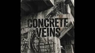 Concrete Veins #newmusic #remix #music #countrymusic #singersongwriter #song #lyrics #playlist