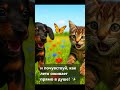 Бабочка на носике, которая принесла чудо. Сказки про Дружка и Васечку #ДобрыеСказки #щенок #котенок