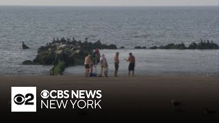 Hurricane Ernesto brings high rip current risk to NYC beaches