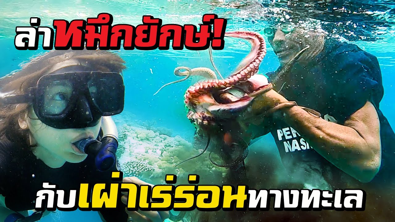 ล่าหมึกยักษ์! กับเผ่าเร่ร่อนทางทะเล