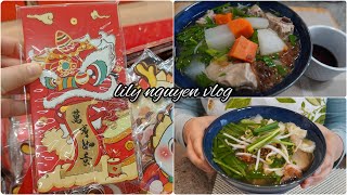 Grocery shopping | Costco and T&T supermarket | Making Wonton Char Siu Noodle Soup. by lily nguyen 3,911 views 3 months ago 19 minutes