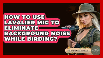 How To Use Lavalier Mic To Eliminate Background Noise While Birding? - Bird Watching Diaries