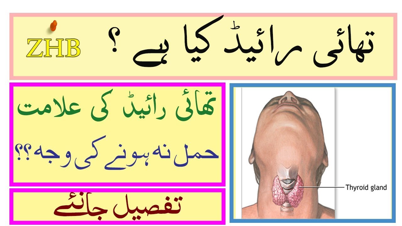 Thyroid Symptoms and Thyroid Problems In Women Urdu Hindi