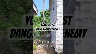Your Most Dangerous Enemy #shorts