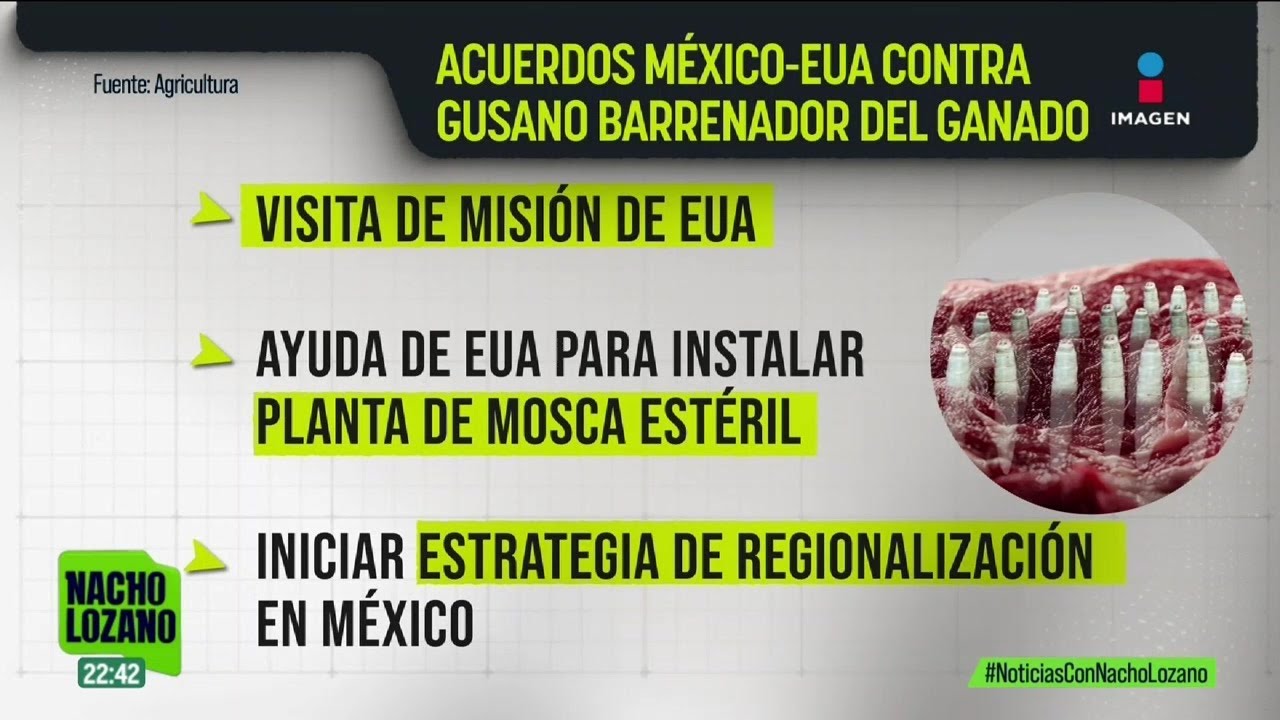 La frontera con EUA seguirá cerrada a las exportaciones de ganado | Noticias con Nacho Lozano