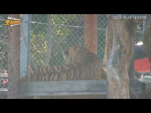 태범/무궁 녹화본 221014