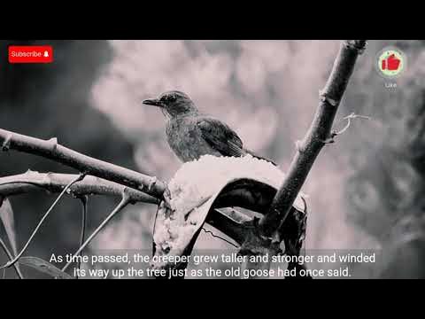 Ворона вектор. Филин логотип. Ворон вектор. Wise bird. Ворон вектор.