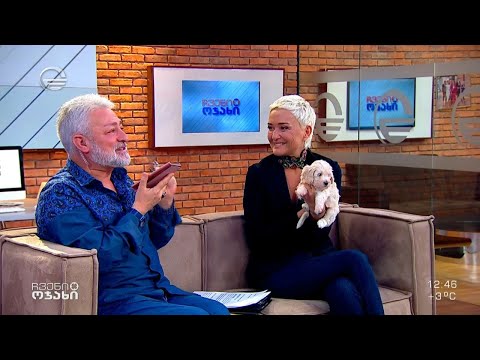 გია ჯაჯანიძის სიურპრიზი - გოგოს, რომელიც პუდელზე ოცნებობდა