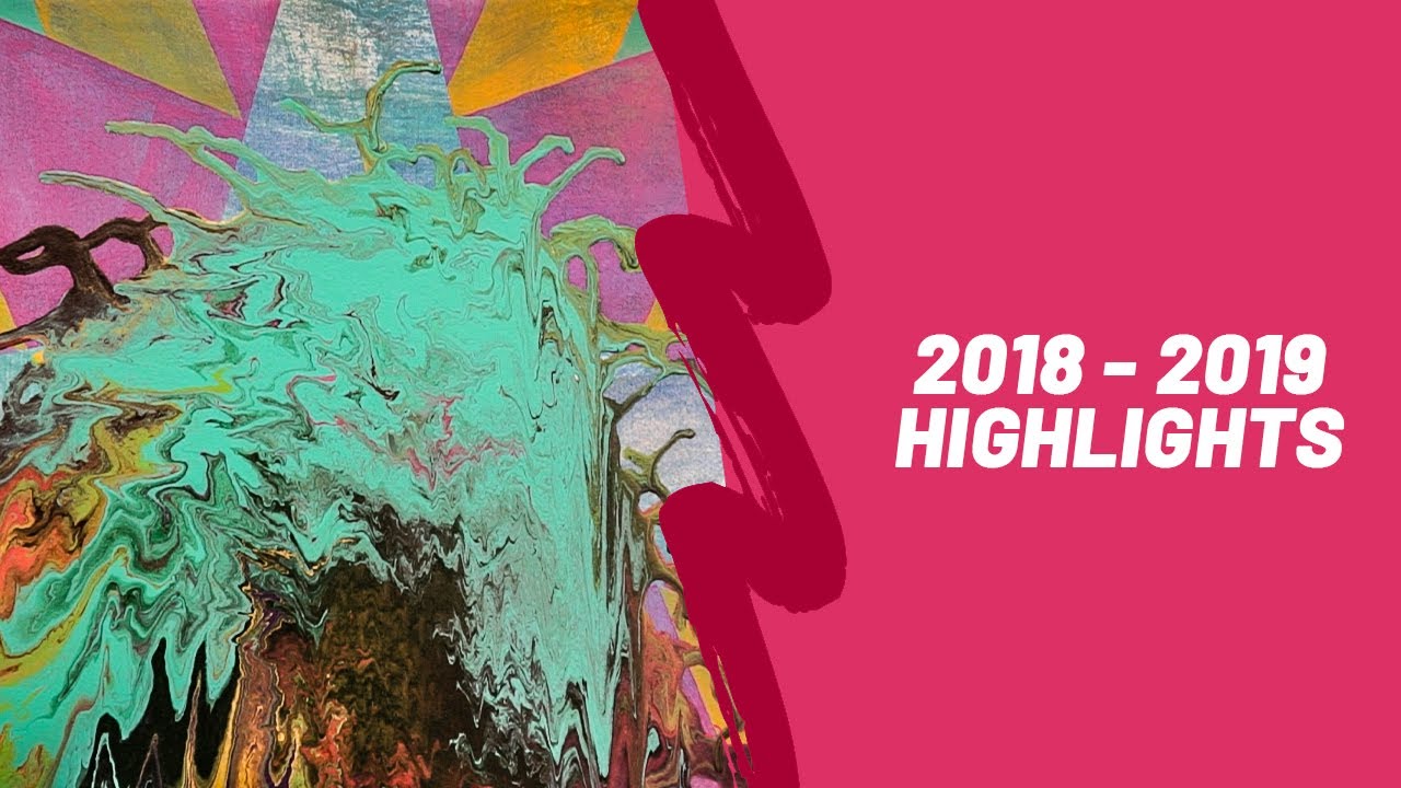 VAPAE 2018 - 2019 Highlights