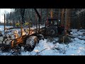 MTZ+Palms [stuck in mud]..(HD)