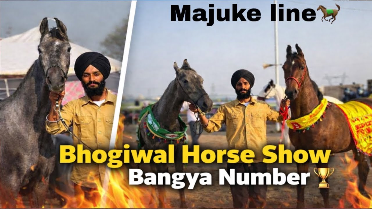 BHOGIWAL HORSE SHOW te leke gye Bacheria🐎//Bangya number🏆