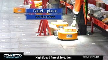 Robotic High-Speed Parcel Sortation Systems - Conveyco