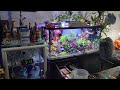 Red sea reefer 525 g2 initial setup getting it upstairs future plans nyc aquatics by newyorksteelo