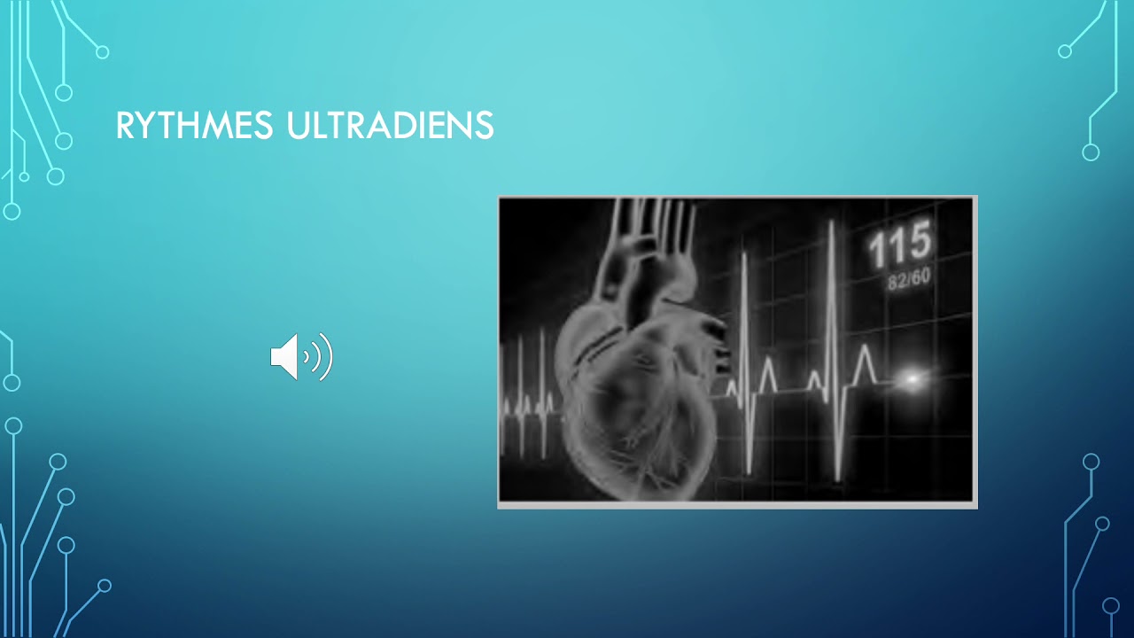 Les rythmes biologiques