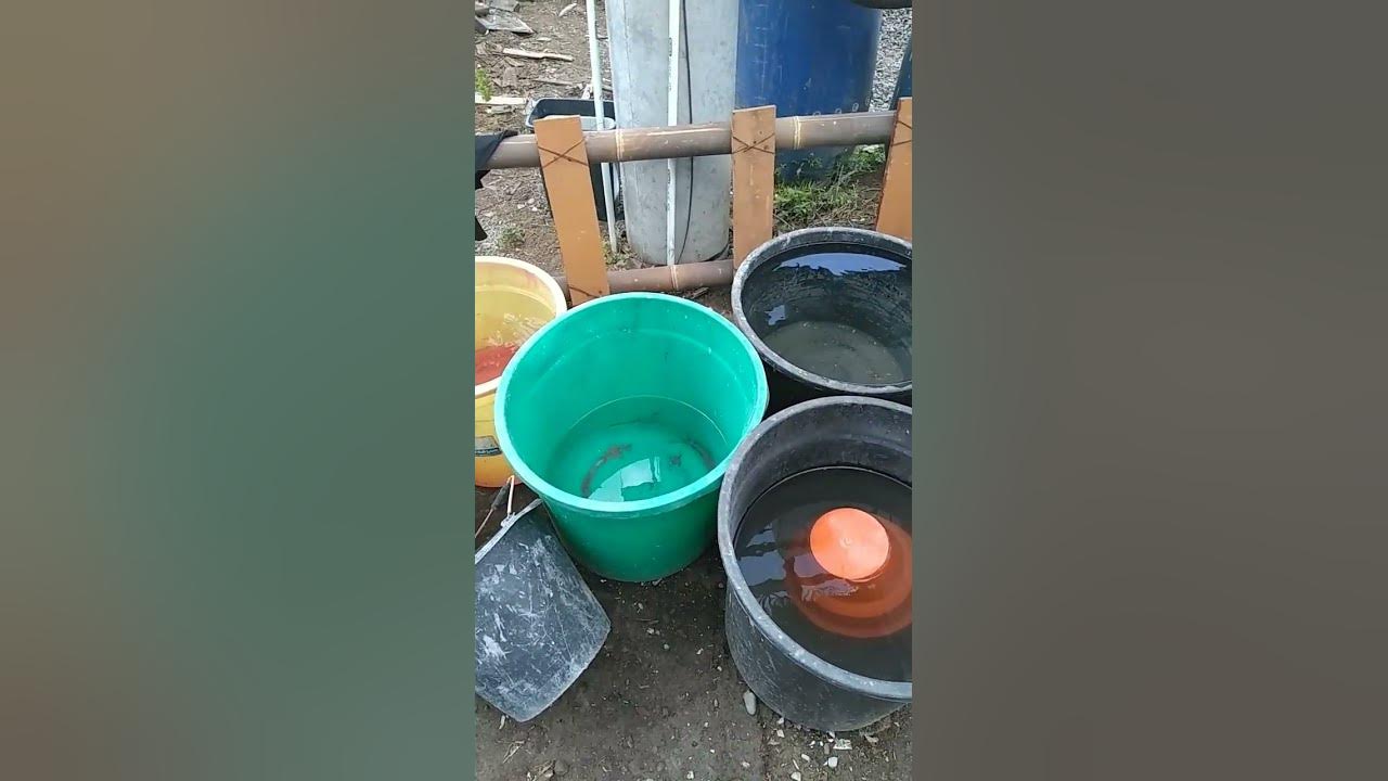 Synonym bucket=pail. The buckets are used to hold water. Not all of