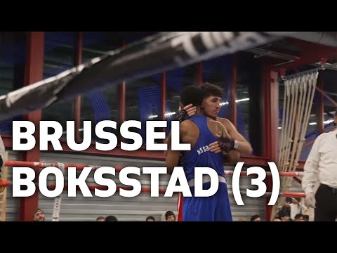 Brussel Boksstad (3): ‘Nu is het aan jullie om de titel te winnen’ | BRUZZ