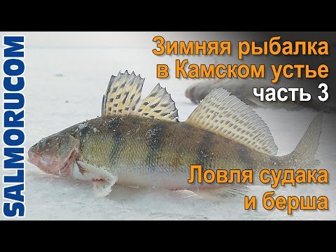 Зимняя рыбалка в Камском устье часть 3