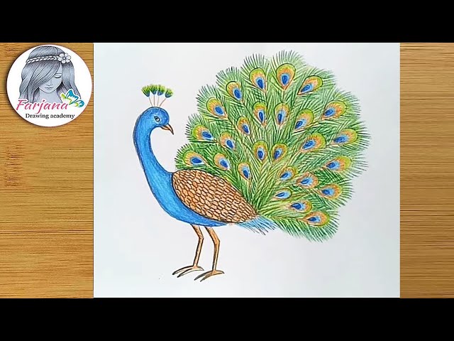 Buy Peacock Pencil Drawing, Printable Peacock Drawing, Peacock Bird Decor,  Peacock Bedroom Wall Art, Peacock Art 3444 INSTANT DOWNLOAD Online in India  - Etsy