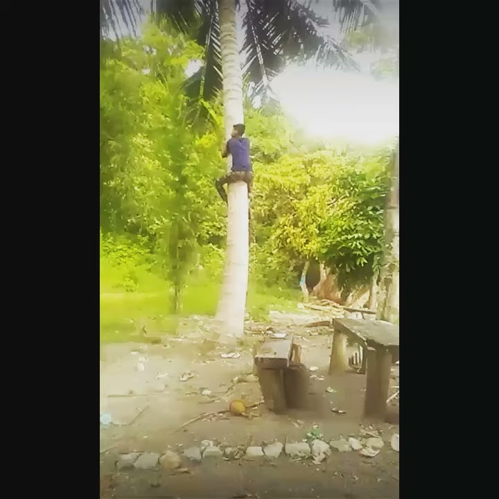 Cocok buat story wa lucu