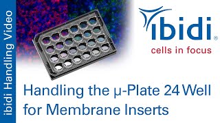 Handling The Μ-Plate 24 Well For Membrane Inserts