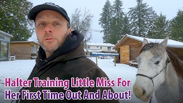 Halter Training Little Miss The New BC Wildie Here (Part 2)