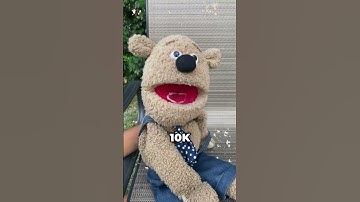 Day:61! of me shouting out MrBeast until I get 10k Subscribers  #comment #puppet #fup #mrbeast #10k