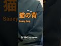 猫の背/SaucyDog 歌ってみた