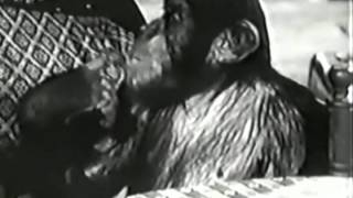 jungle jim 1955 a fortune in ivory part 1