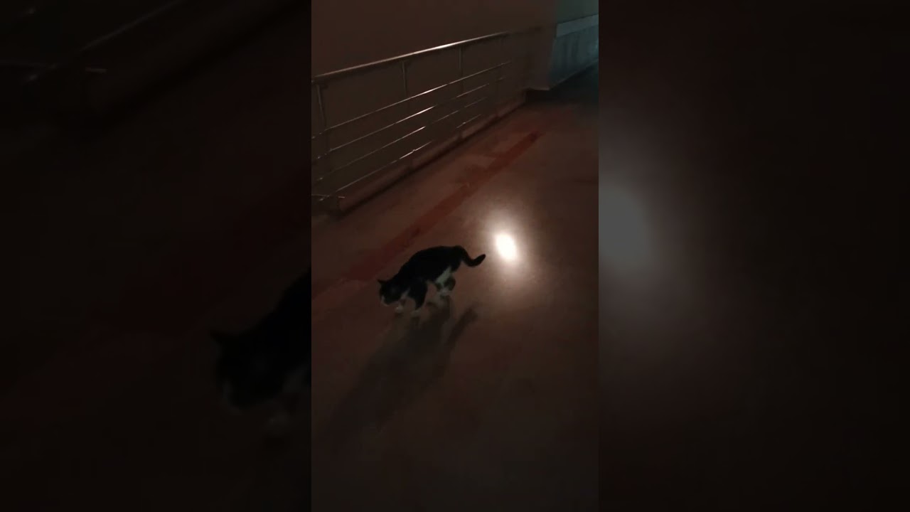 19.02.2026|RAMAZANINIZ MÜBAREK OLSUN 🌸 süreci konuşuyoruz