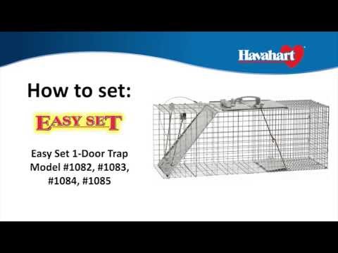 Havahart® Large 1-Door Collapsible Easy Set® Trap