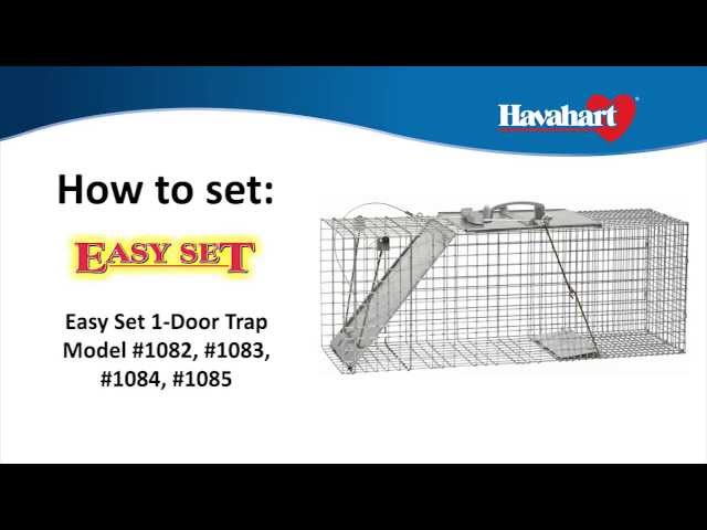 How to Set: Havahart® X-Small 2-Door Trap Model #1020 for Mice