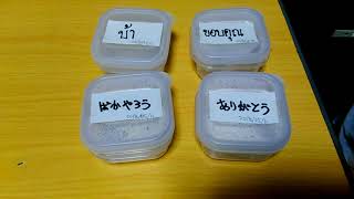 ご飯の「ありがとう・ばかやろう」実験が顕著な結果に！