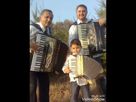 02. Ce aveți voi, dușmani cu mine - Gheorghe Ghițică