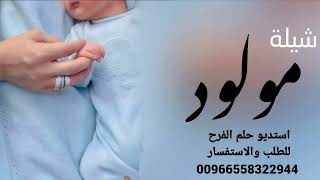 شيلة مولود اغلى مولود حماسية 2026 باسم محمد فقط /شيلات مواليد