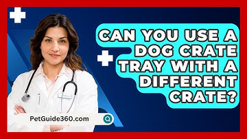 Can You Use A Dog Crate Tray With A Different Crate? - PetGuide360.com